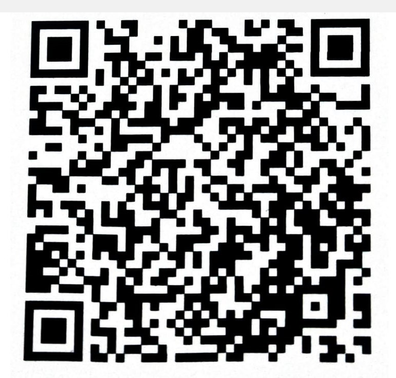 Mahi Majestic Dream Tours Logo